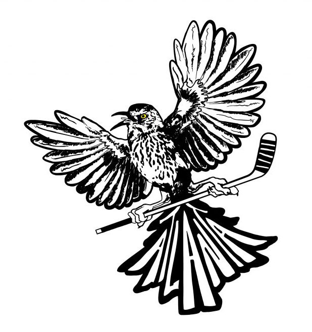 Lady Thrashers Fall 2023 Practice Schedule&nbsp;Posted!