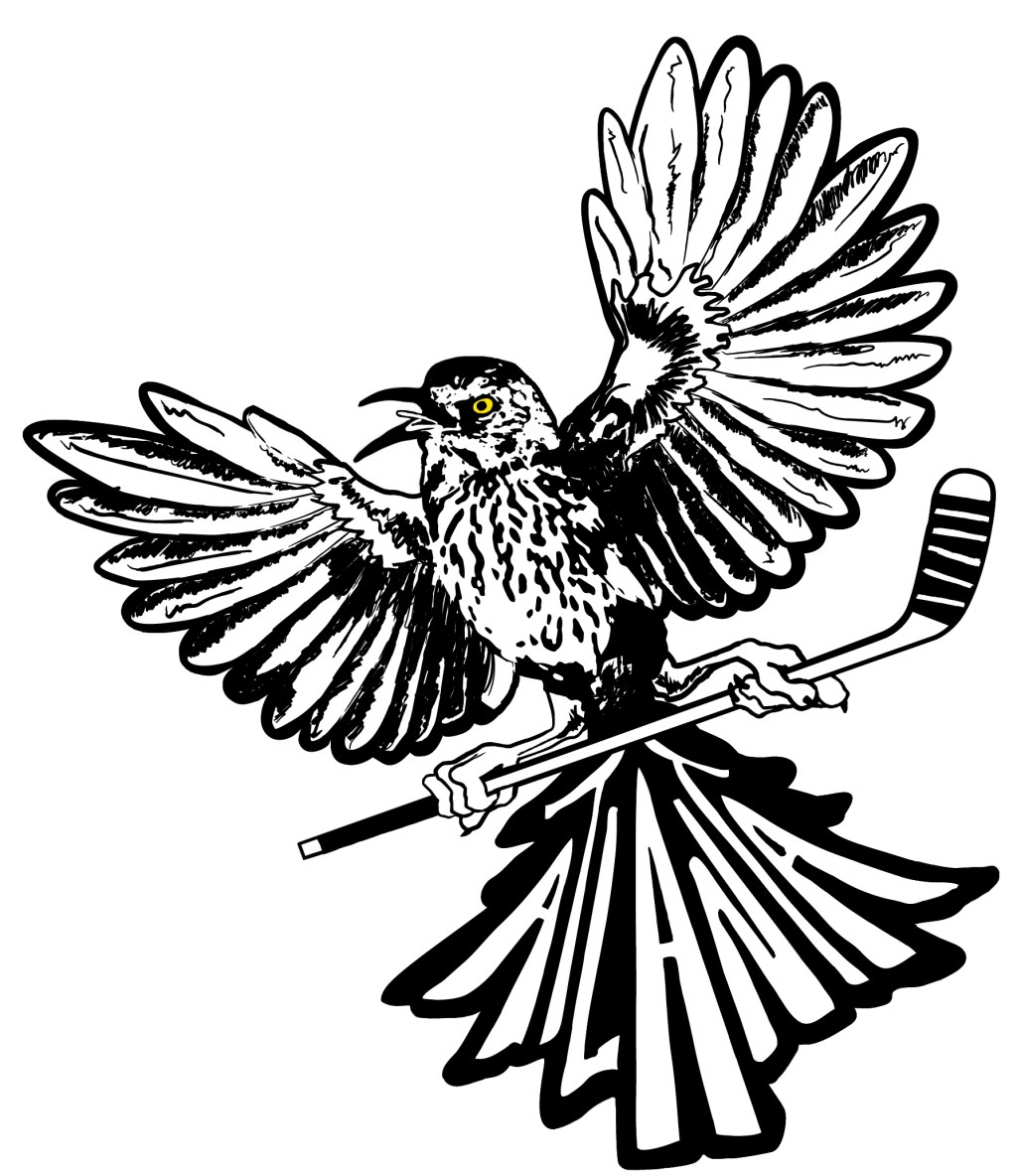 Lady Thrashers Fall 2022 Practice Schedule&nbsp;Posted!