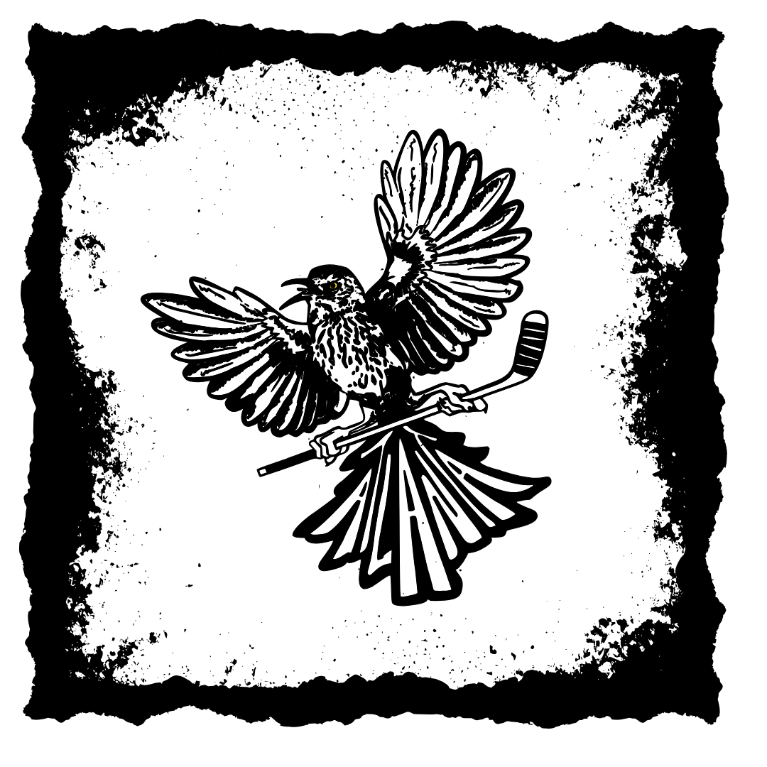 Atlanta Lady Thrashers